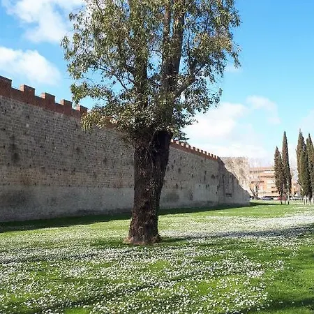 Da Noi A Pisa